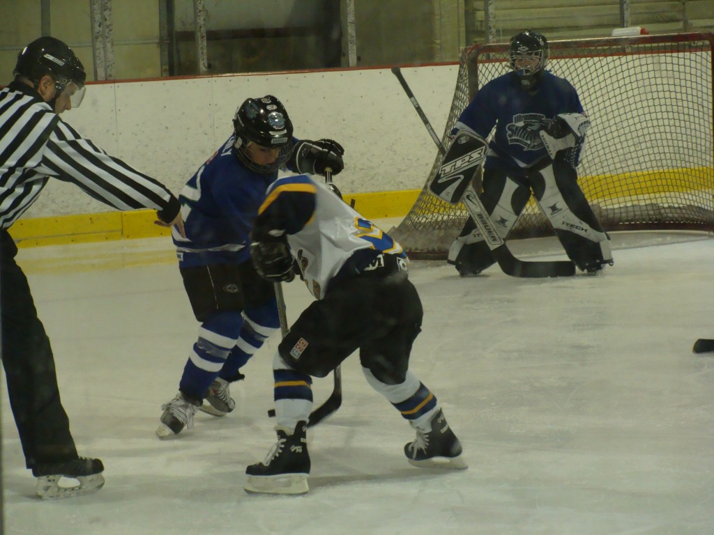 memphis blues hockey
